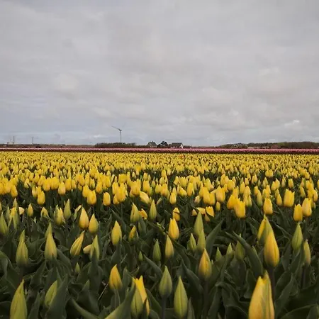 In Sint Maartenszee